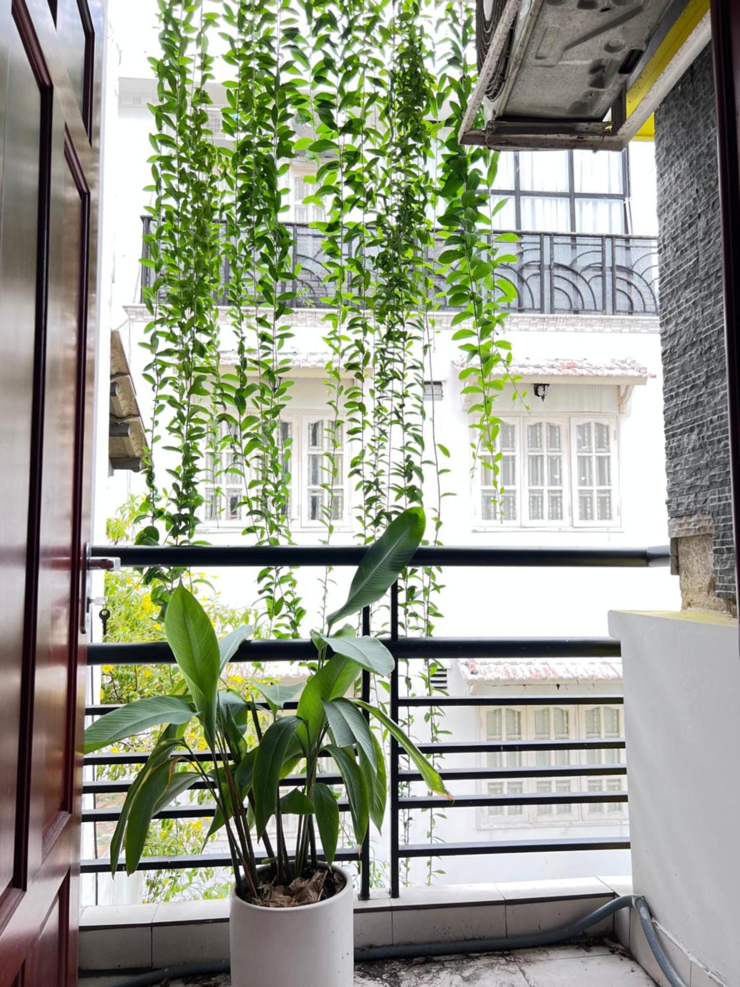 Co Homestay Saigon 胡志明市 外观 照片